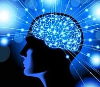 man's brain