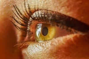 eye
