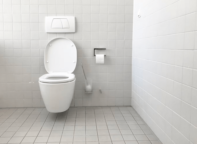 toilet